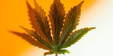 Delta 9 and Delta 10