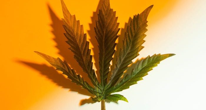 Delta 9 and Delta 10