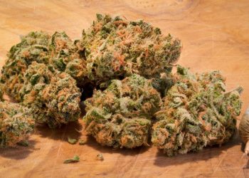 How Many Types Of Cannabinoids Can You Use At The Same Time?