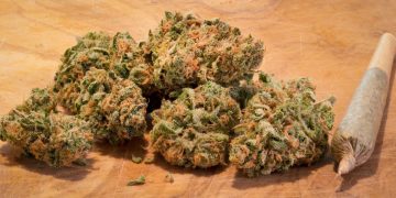 How Many Types Of Cannabinoids Can You Use At The Same Time?