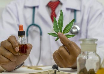 Top 5 Delta 9 THC Brands