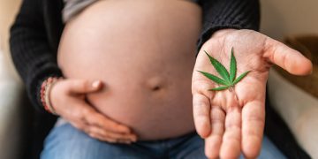 Cannabis Use During Pregnancy, Labour and Beyond
