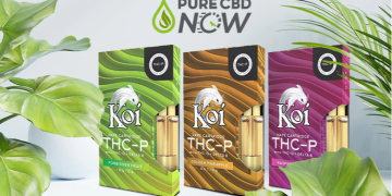 What exactly is THCP? Is there a specific way they work?