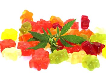 5 Steps To Make DIY Cannabis Gummies