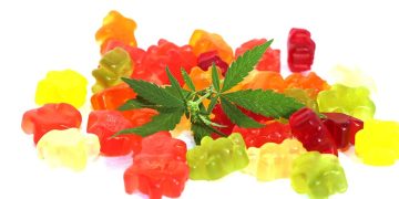 5 Steps To Make DIY Cannabis Gummies
