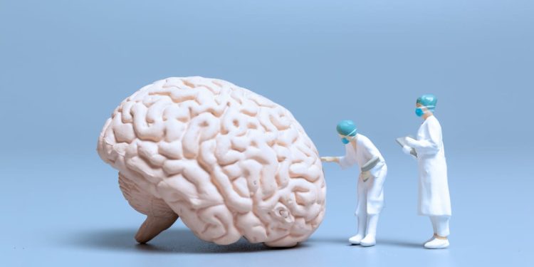 Brain Games and Brain Training