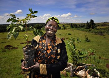 5 Ways Farms Can Support Community Sustainability Efforts