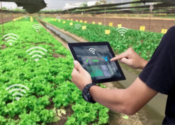 6 Ways Automation Is Helping the Agriculture Industry Advance