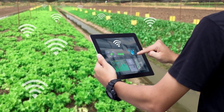 6 Ways Automation Is Helping the Agriculture Industry Advance