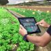 6 Ways Automation Is Helping the Agriculture Industry Advance