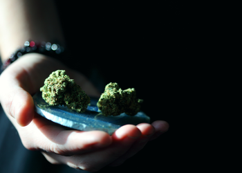 How Does Delta 8 Smell? Does It Smell Like Weed?