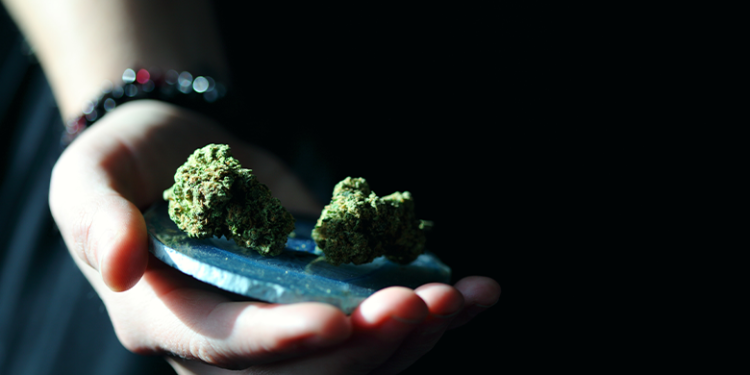 How Does Delta 8 Smell? Does It Smell Like Weed?