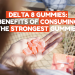 Delta 8 Gummies: Benefits of Consuming The Strongest Gummies