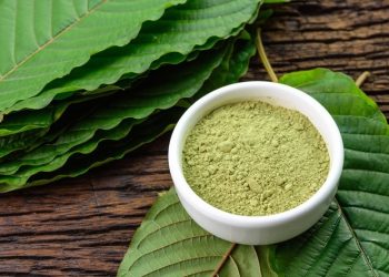 What Are The Best Kratom Strains For A Healthy Lifestyle?