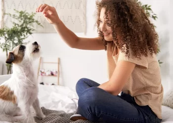 The 5 Active Ingredients To Keep Your Dog Looking And Feeling Healthy