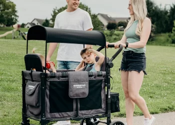 WonderFold W2 Or W4 LUXE Comparison