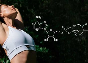 How To Increase NAD in Your Body