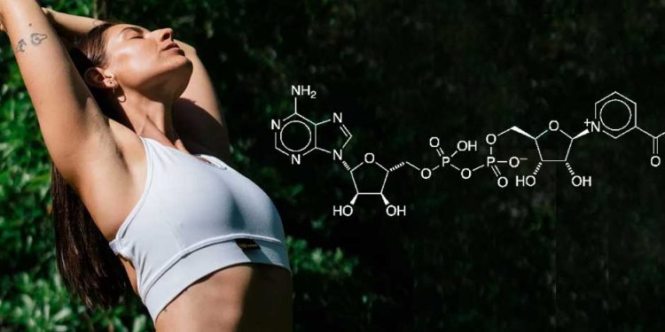 How To Increase NAD in Your Body