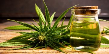 The Advantages of Cannabis Dispensary