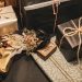 Gifts