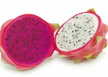 Red Vs White Dragon Fruit