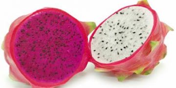 Red Vs White Dragon Fruit