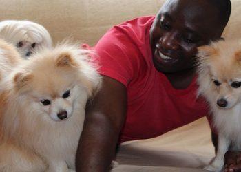 Pets on Mental Health