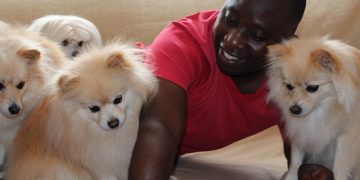 Pets on Mental Health