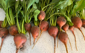 Golden Beets