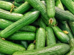 Seedless Cucumber