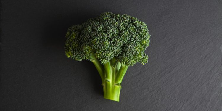 Black Spots on Broccoli Safe to Eat