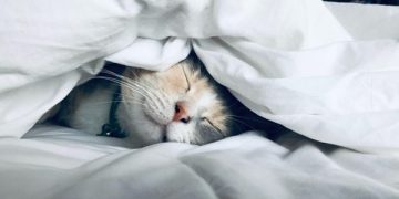 Simple Strategies for a Better Night's Rest