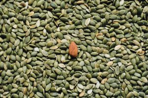 Pumpkin seed