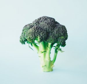 Store Broccoli