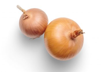 Is an Onion a Fruit? Veggie Facts Revealed!