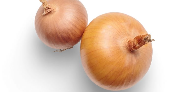 Is an Onion a Fruit? Veggie Facts Revealed!