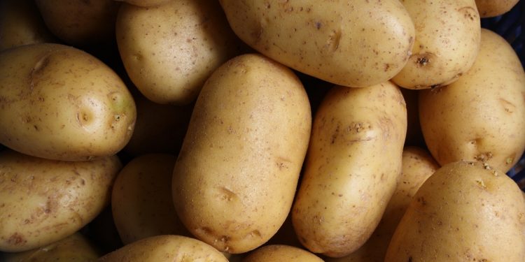8 Key Potato Growing Stages