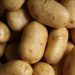8 Key Potato Growing Stages