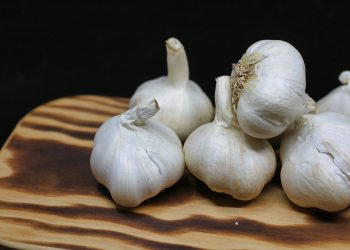 Garlic Growth