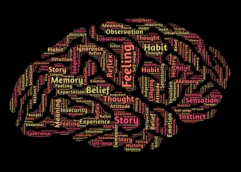 Digital Therapy for Modern Minds: A Closer Look at Calmerry