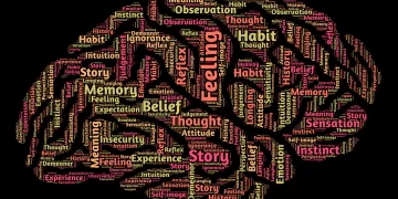 Digital Therapy for Modern Minds: A Closer Look at Calmerry