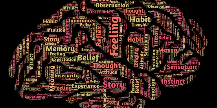 Digital Therapy for Modern Minds: A Closer Look at Calmerry