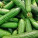 The 7 Cucumber Growing Stages Explained: From Seed to Salad