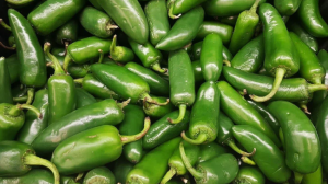 Helpful Tips For Growing Jalapenos