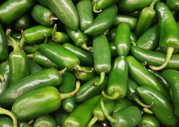 Helpful Tips For Growing Jalapenos