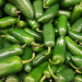 Helpful Tips For Growing Jalapenos