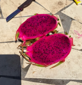 Pitaya Fruit