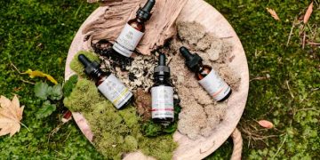 Lemon Haze CBD Flower For Newbies: 6 Tips For Consumption