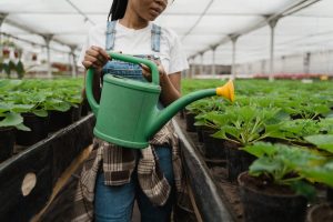 Fertilizer and Plant Food