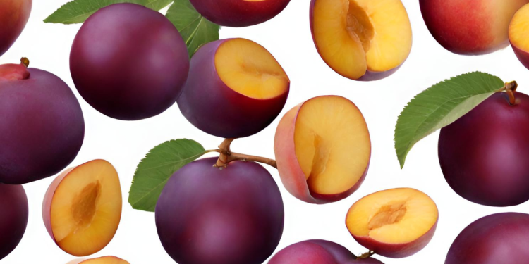 Plum vs Pluot: Key Differences Unveiled!